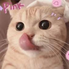 Adi Saputra avatar